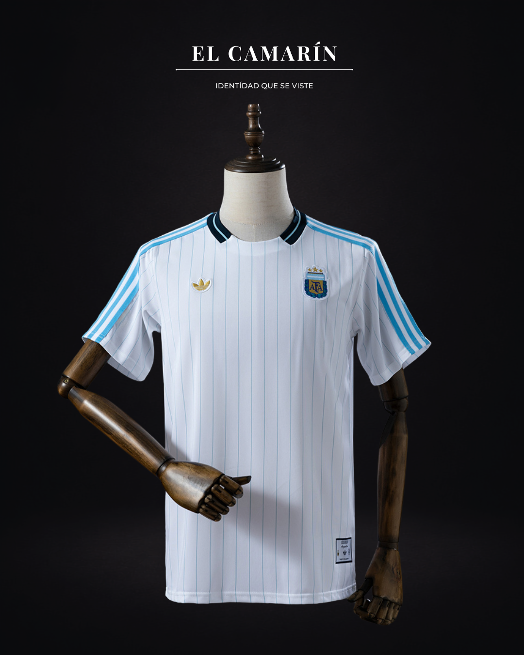 CAMISETA ARGENTINA TERRACE ICON