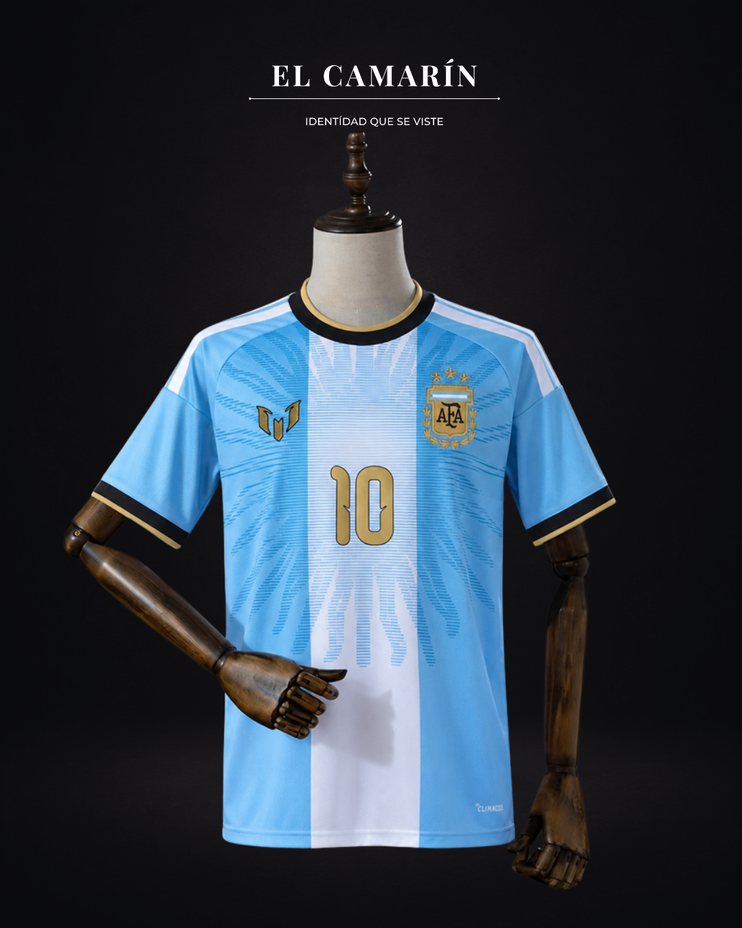 CAMISETA ARGENTINA DESPEDIDA MESSI - 10 MESSI